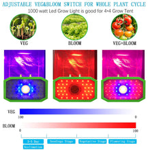 Load image into Gallery viewer, Fully dimmable 1000w LED Grow Light, Growing Lamps for Greenhouse Plants, Double Chips for Indoor Plants, Full Spectrum for Fruits Veg and Flowers Growing

